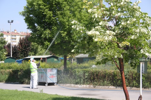 Karatayda Yeil Alan Ve Parklar lalanyor 